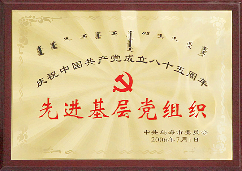 2006乌海市先进基层党组织.jpg