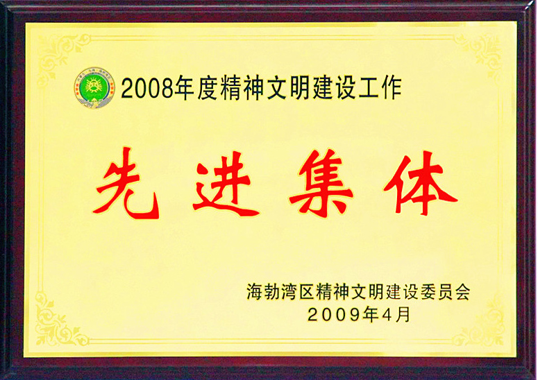 2008年度海渤湾区精神文明建设工作先进集体.jpg