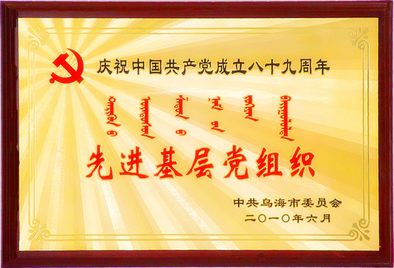 庆祝中国共产党成立89周年先进基层党组织 2010.6.jpg